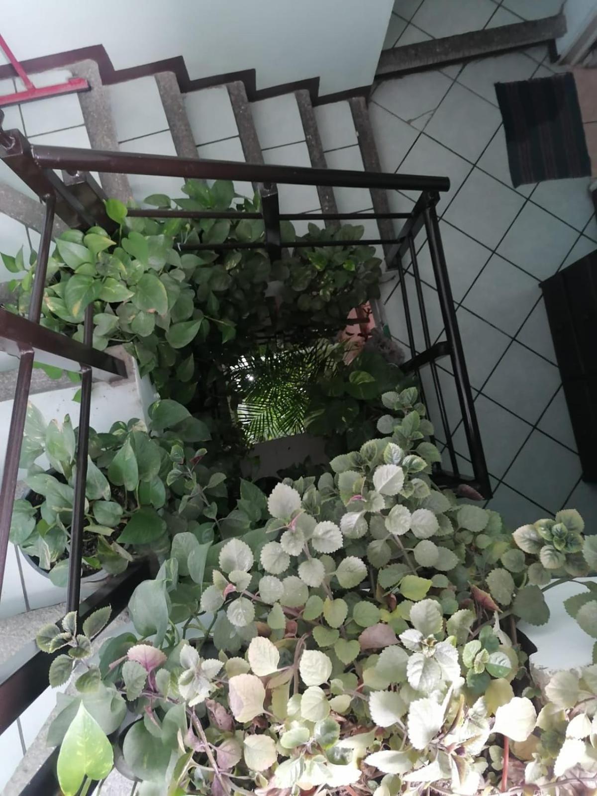Casa Los Arcos Oaxaca Bagian luar foto