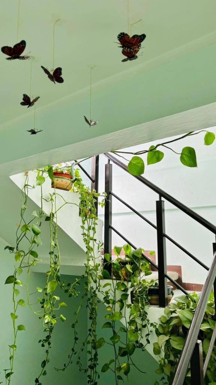 Casa Los Arcos Oaxaca Bagian luar foto